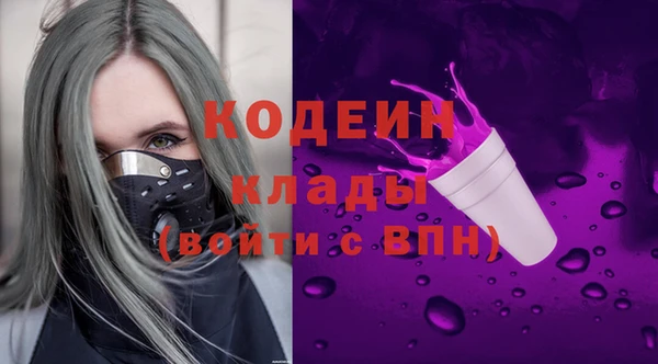 дживик Арсеньев