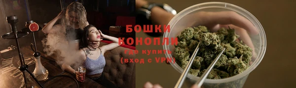 эйфоретик Аркадак