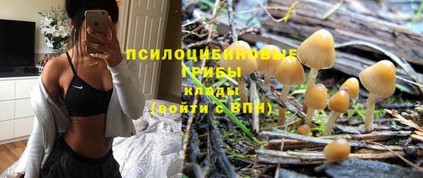 гашик Армянск