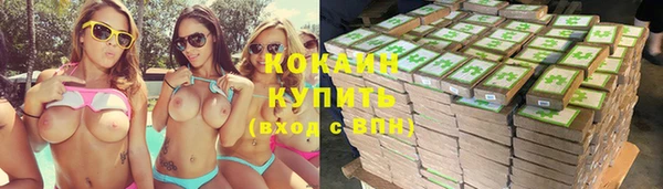 дживик Арсеньев