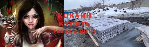 дживик Арсеньев
