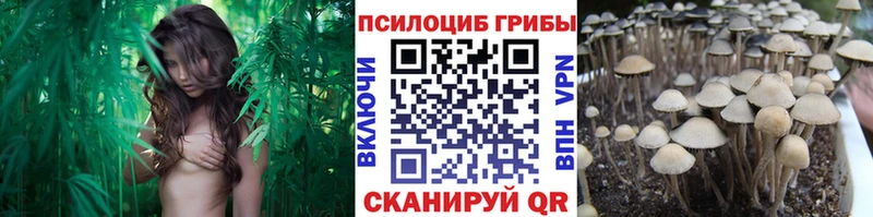 Псилоцибиновые грибы Magic Shrooms  наркотики  Кирс 