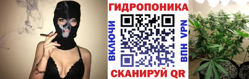 Шишки марихуана Ganja  Кирс 